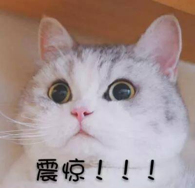 1638961238757170.jpg 肺癌会不会转移,跟这4大因素相关