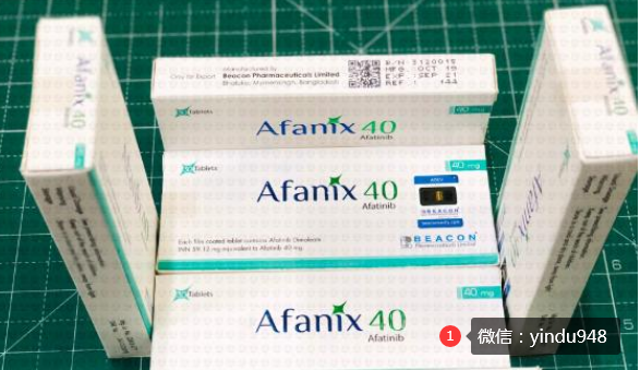 阿法替尼联合尼妥珠单抗治疗TKI耐药的晚期肺癌患者显疗效?