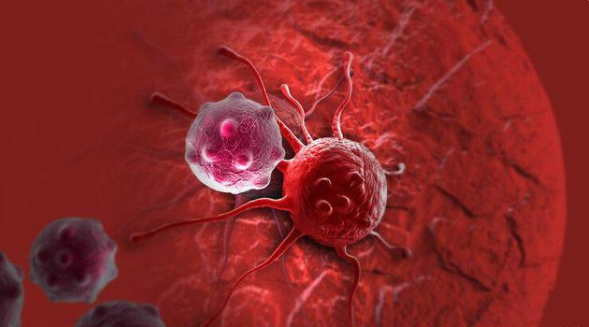 突破!新抗癌药可“杀死”多种癌症,治癌效果显著,国内开始试验