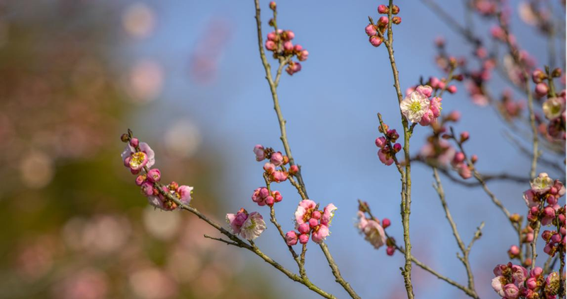 1625467979584975.png 一场有关生命的选择:小细胞肺癌晚期的他,博得4年生存期!